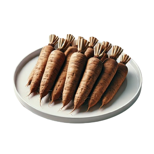 Salsefia (Kozibród Porolistny) Gotowana